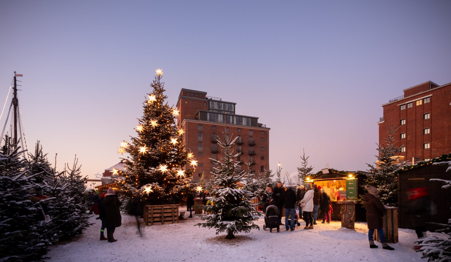 Starry forest at the old harbor in Wismar, © Christoph Meyer, paperheroes