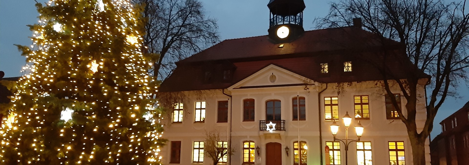 town-hall-square-ng-with-christmas-tree