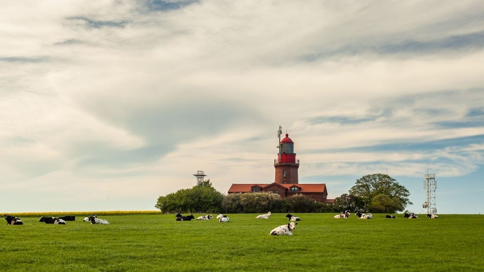 Bastorf lighthouse with cows, © VMO, Alexander Rudolph