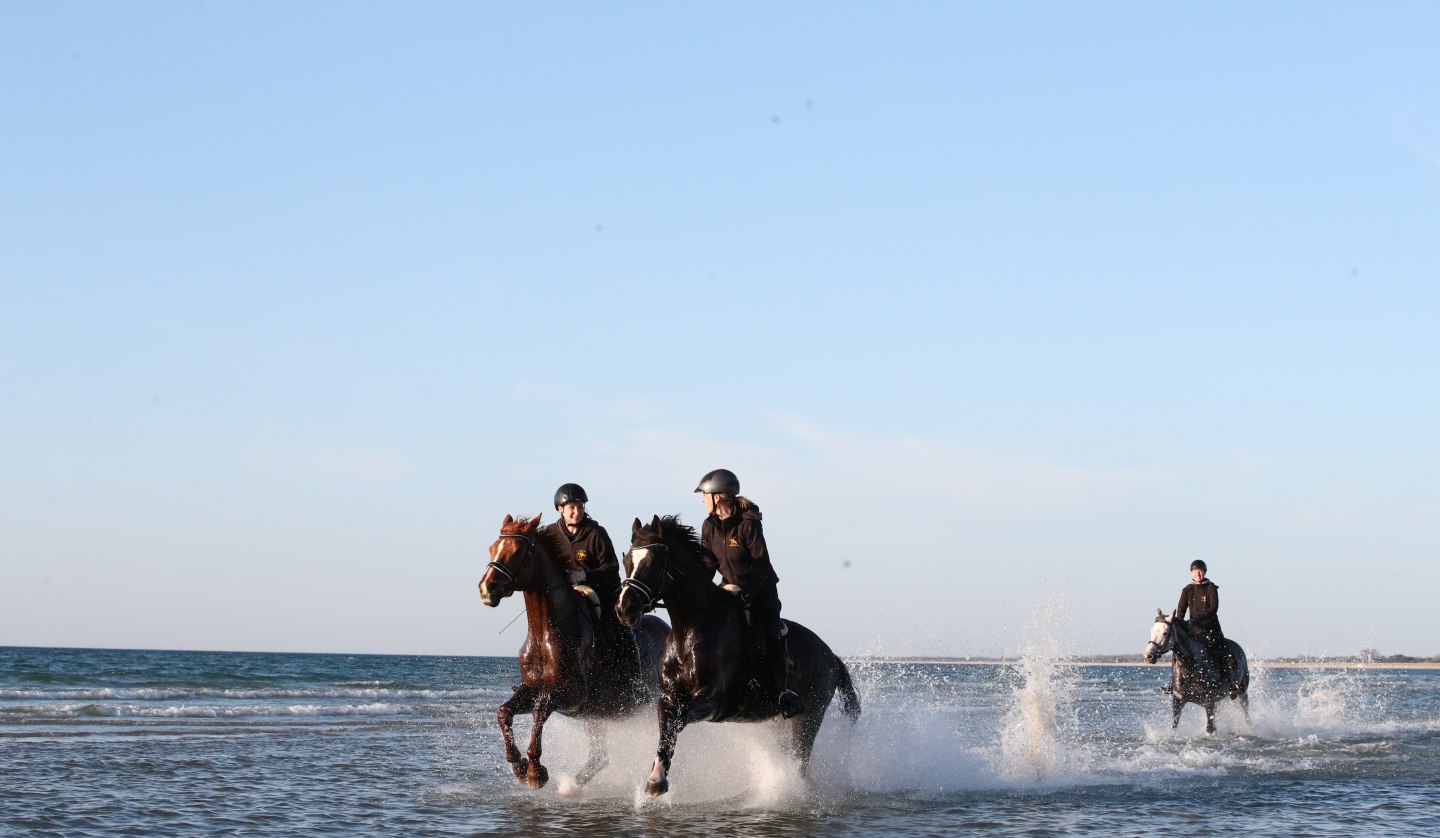 Horse riding on the beach, © TMV/ACP Pantel