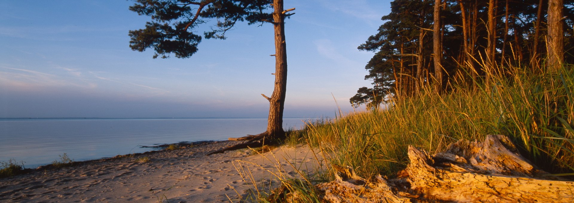 Ludwigsburg beach - evening mood, © TMV.Thomas Grundner