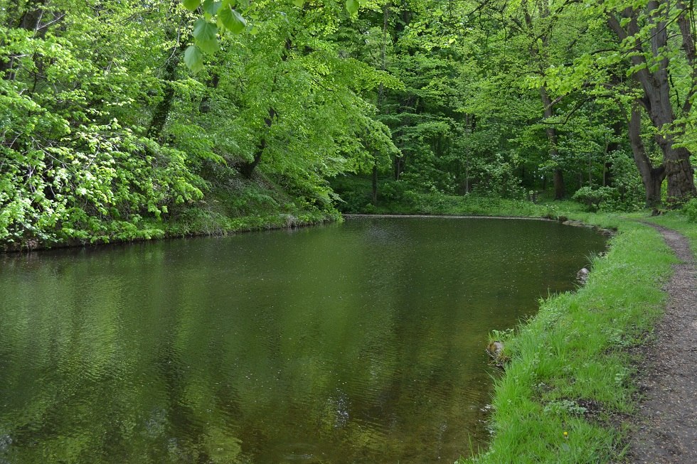 Hiking trail and moat at the tower hill., © Lutz Werner