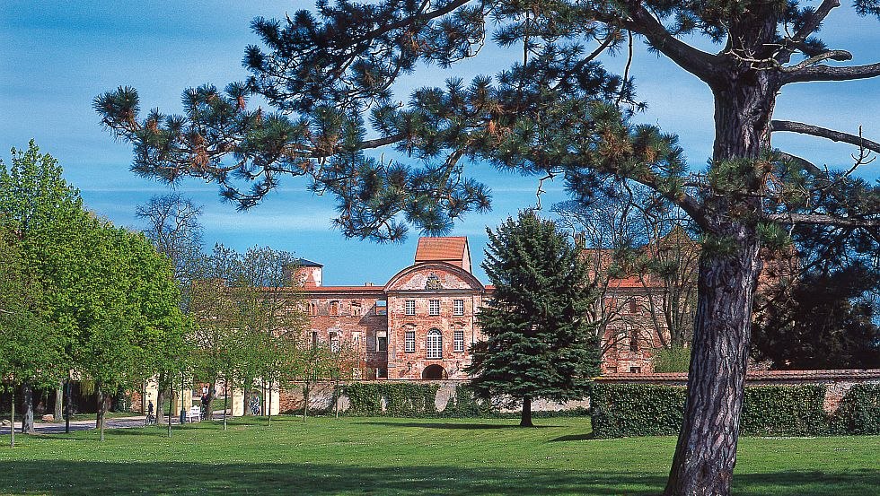 From one of the most important monasteries and largest Renaissance castles of Mecklenburg-Western Pomerania only the foundation wall remained in Dargun, © TMV/Legrand