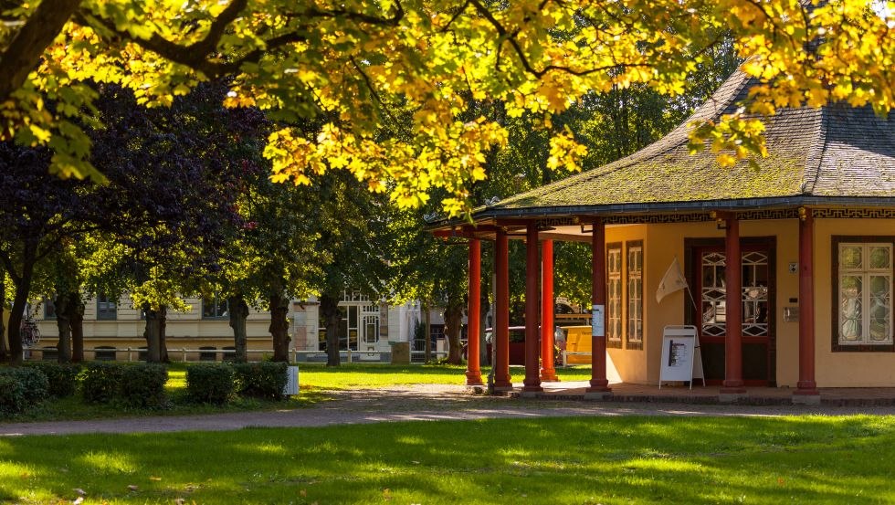 Doberaner Kamp in autumn, © VMO, Alexander Rudolph