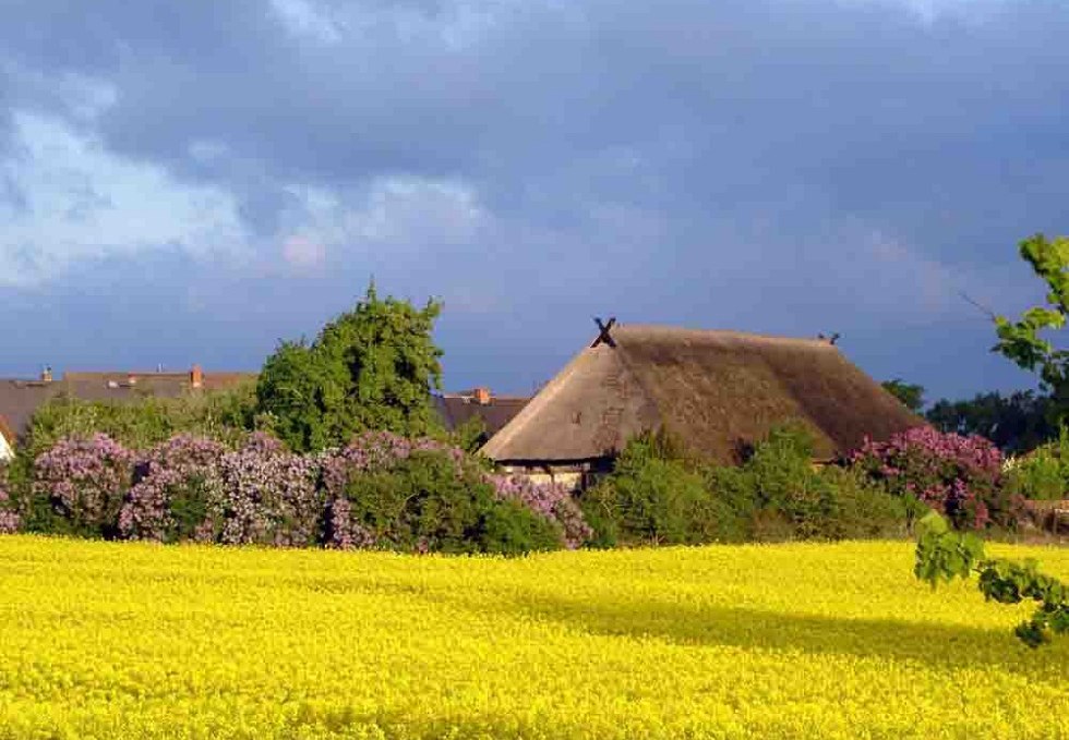 Haus Hoppe studio for fine arts - idyllically situated in the middle of blooming landscape, © Olaf Hoppe