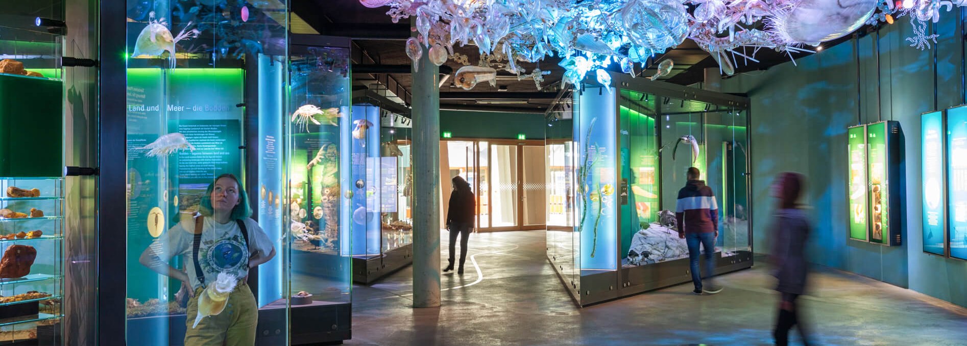 The Baltic Sea exhibition with plankton cloud in the OZEANEUM, © Anke Neumeister/Deutsches Meeresmuseum