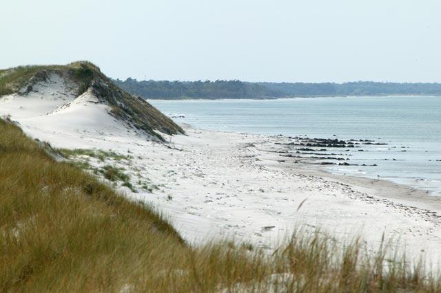 Dune landscape Pramort, © Kur- und Tourismus GmbH