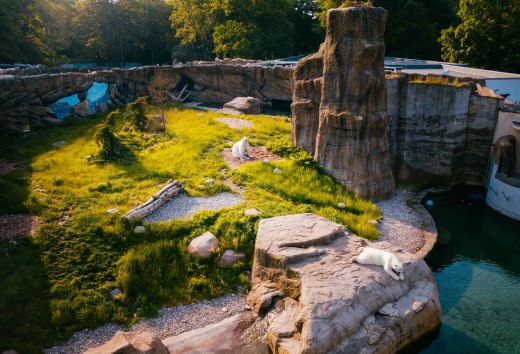 The Polarium at Rostock Zoo is somewhat reminiscent of Hudson Bay in Canada, which is home to many polar bears., © TMV/Friedrich