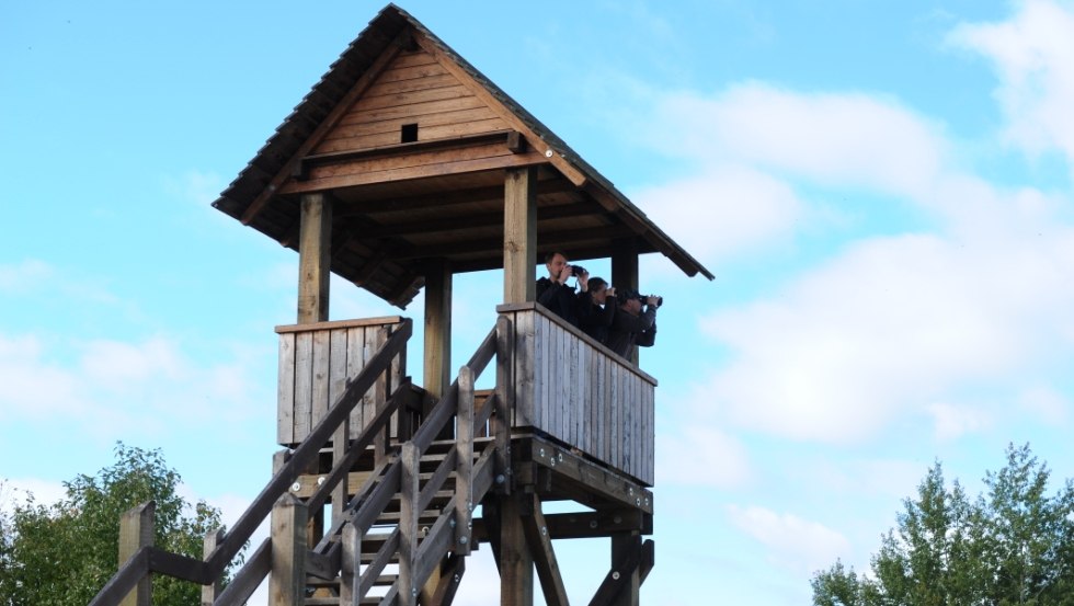 The observation tower at the Dütschower Hochbrücke is a popular stop for guests of the Lewitz., © TMV/Foto@Andreas-Duerst.de