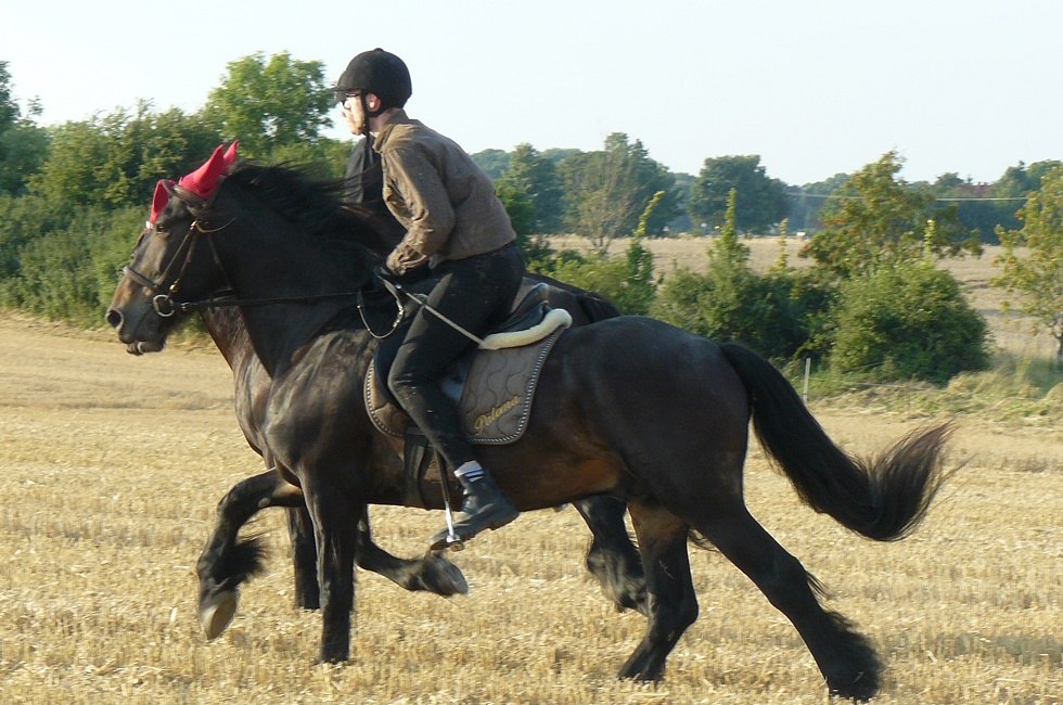 Horseback ride through the beautiful nature, © Ponyhof Rügen