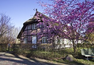 Gutshauskate, vacation under thatched roof, © Rittergut Streu