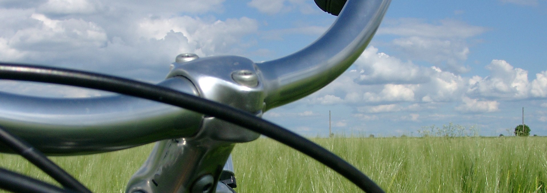 Bicycle handlebars in front of green grain., © Ralf Tetmeyer, radreisen-mecklenburg