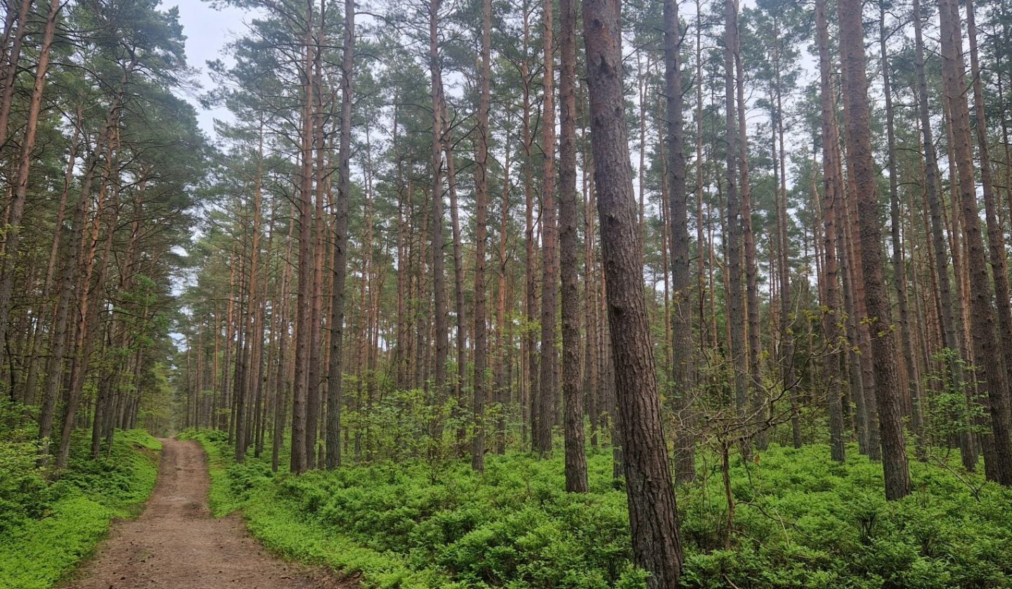 Hike Baaber Heide, © Kurverwaltung Goehren