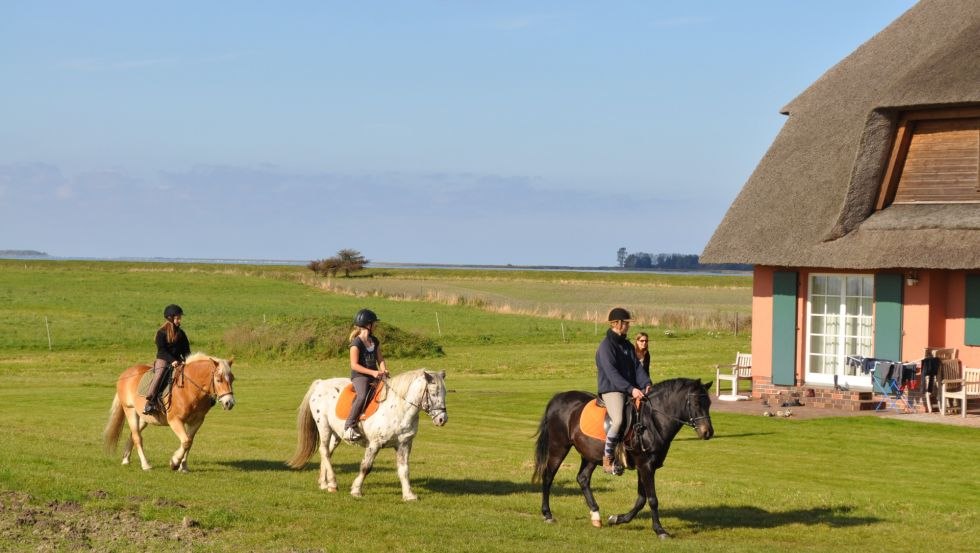 Ride, © Rügen-Ferienhof