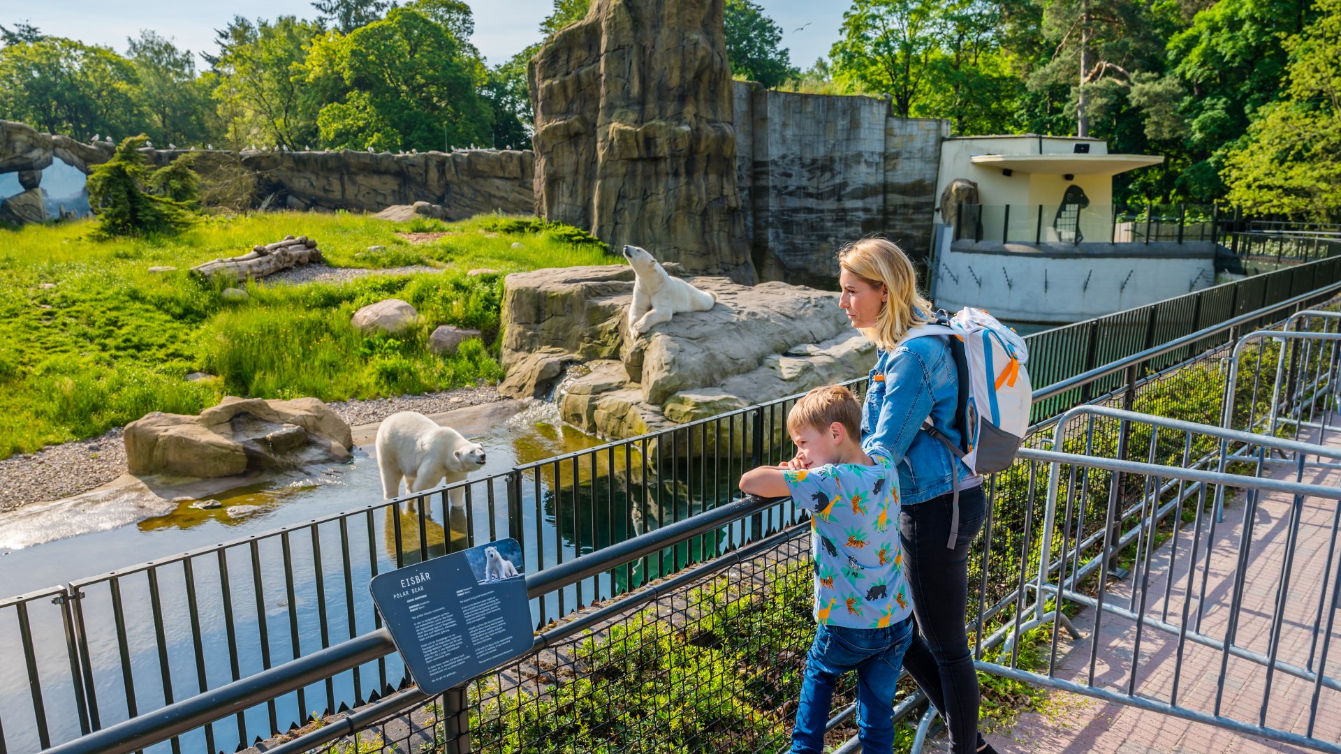 Erik and his mother in the Polarium of the Rostock Zoo. Three polar bears live there in a 3,500 square meter tundra landscape., © TMV/Tiemann