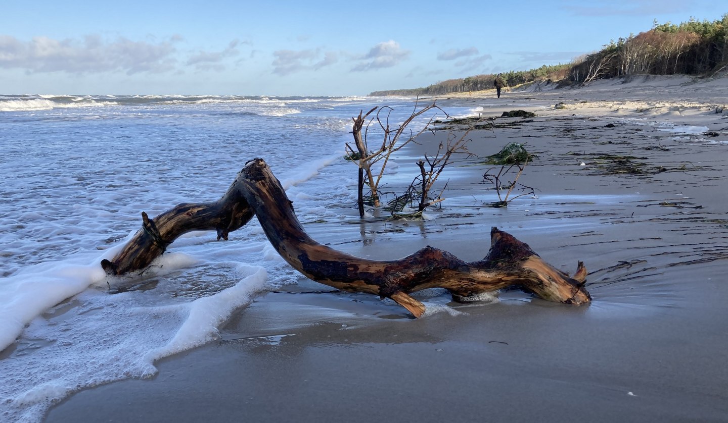 West Beach, © K. Baerwald