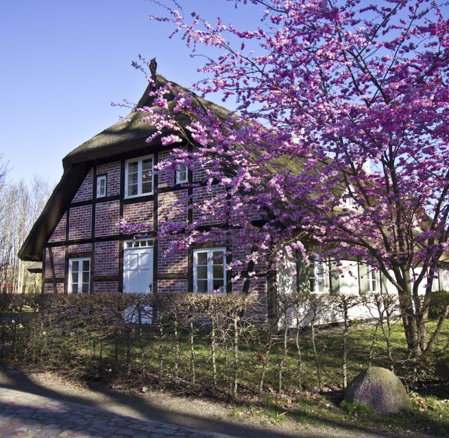 Gutshauskate, vacation under thatched roof, © Rittergut Streu