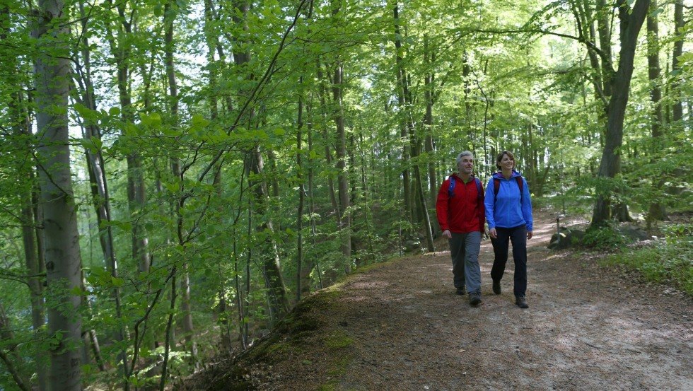 The path leads through deep forests along the Warnow River., © TMV/outdoor-visions.com