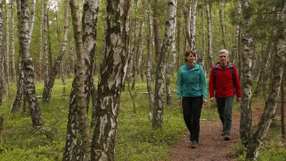 Hiker in birch moor forest, © TMV/outdoor-visions.com