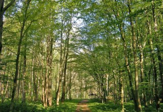 © Biosphärenreservatsamt Südost-Rügen