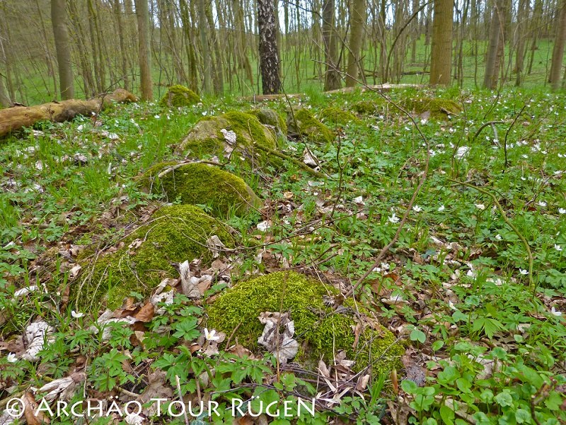 hidden in the deciduous forest are more than 400 tumuli from the Slavic period, © Archäo Tour Rügen