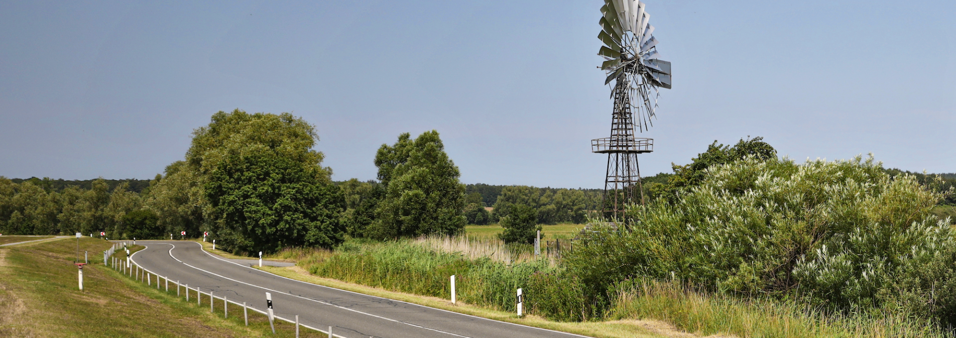 windshoe plant-lobbe_2, © TMV/Gohlke