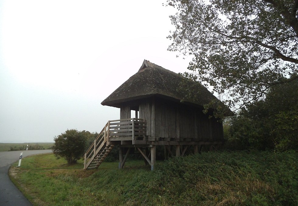 Tankow bird watching platform on the island of Ummanz, © Tourismuszentrale Rügen