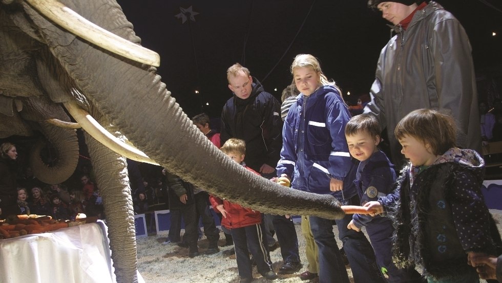 Children feed our giants, © Elefantenhof Platschow