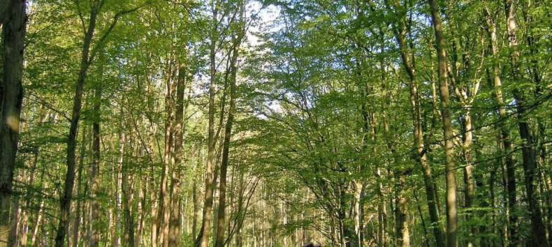 © Biosphärenreservatsamt Südost-Rügen