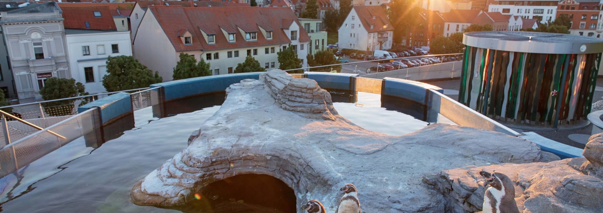 The roof terrace of the OZEANEUM fascinates with a visit from the Humboldt penguins and a panoramic view over the old town of Stralsund., © Anke Neumeister/Deutsches Meeresmuseum