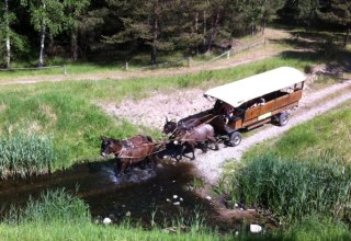 The ride can be exciting. Do the animals go through the water?, © Reit- und Fahrtourstik Lychen