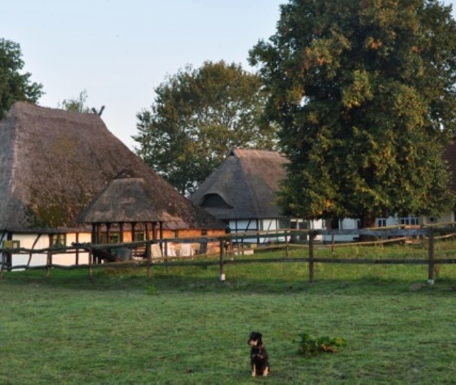 Horse farm Schwalbennest: View of our small, family-run equestrian farm in Jörnstorf, where you and your pets are welcome., © Pferdehof Schwalbennest/ Rauth