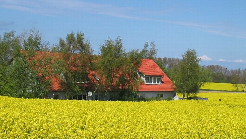 A bed in the rape field in the Baltic Sea Pension Rerik, © Ostseepension Rerik