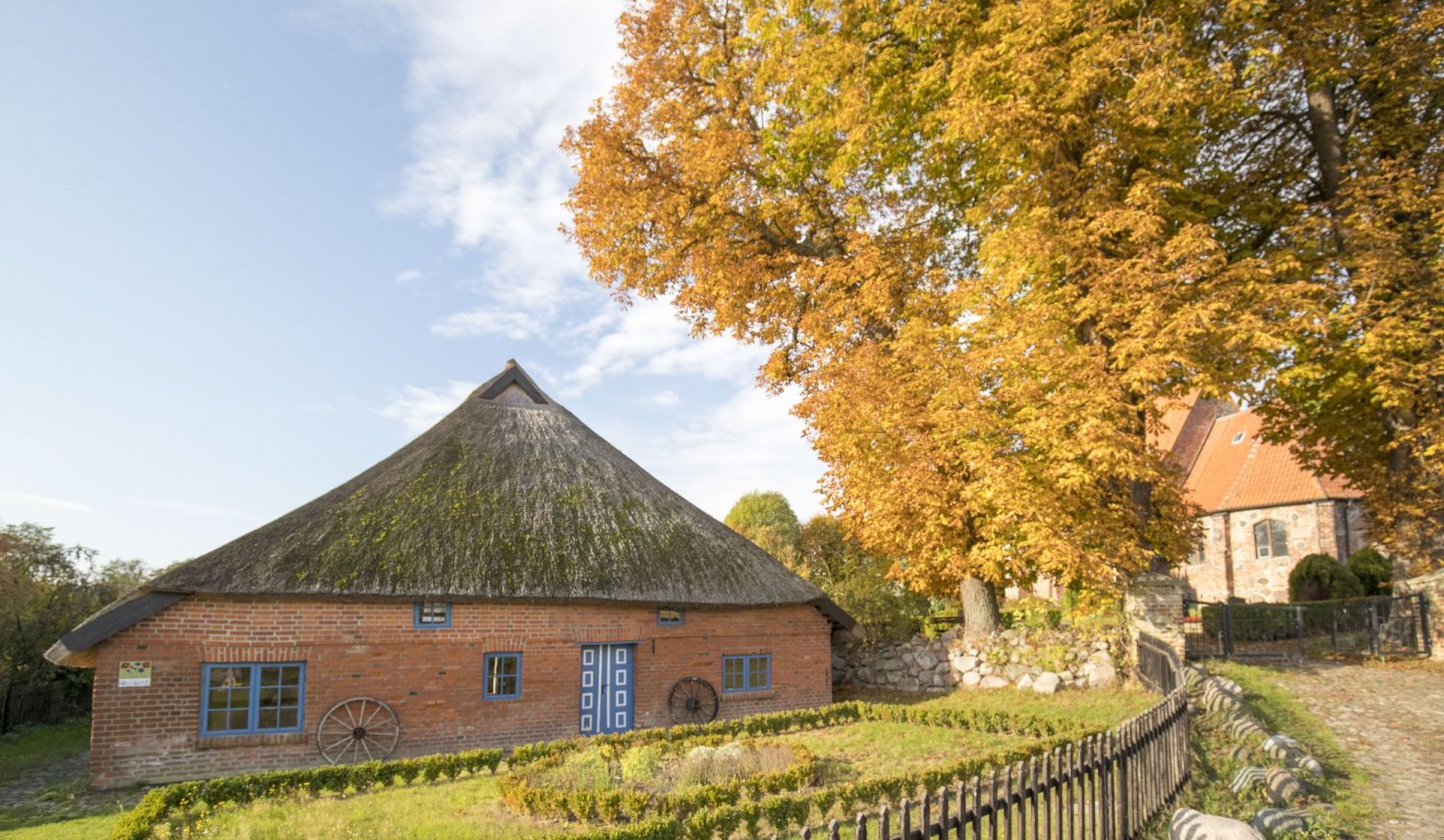 Cycle tour Moenchguter Land Autumn (c) Kurverwaltung Goehren Martin Stoever _10-2016_P5I5450, © Kurverwaltung Goehren / Martin Stoever