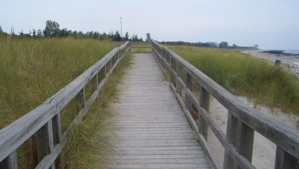 Beach access 4 via wooden jetty in Ahrenshoop, © TV FDZ