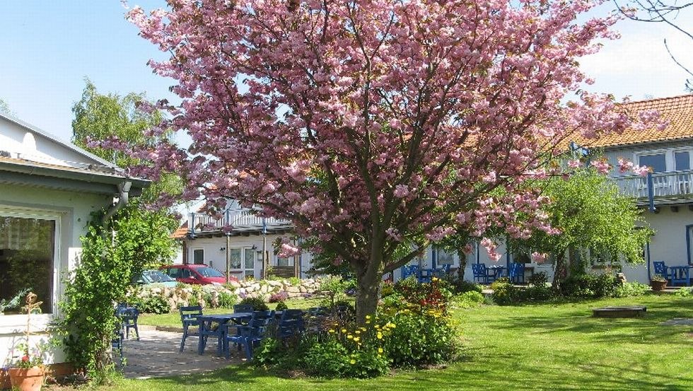 Cherry blossom in the Baltic Sea Pension Rerik, © Ostseepension Rerik