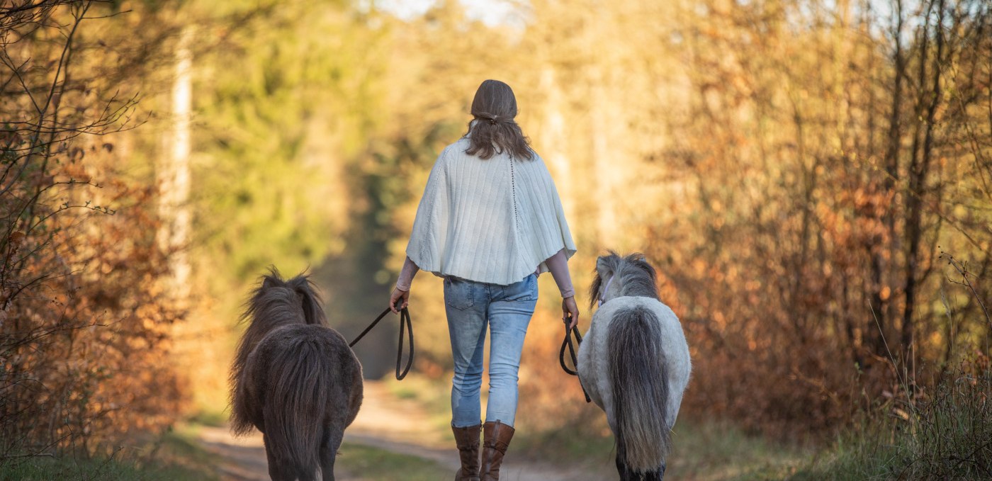 Walk with ponies, © Anniemal Fotografie