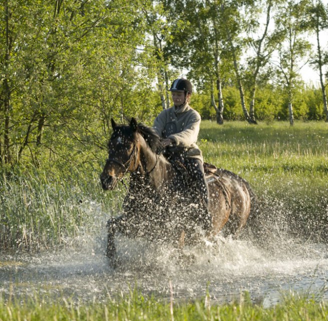 On her day ride the rider crosses a pond along the way, © TMV/ Hafemann