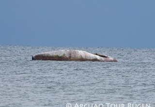 in the middle of the Baltic Sea lies the "Buhskam, © Archäo Tour Rügen