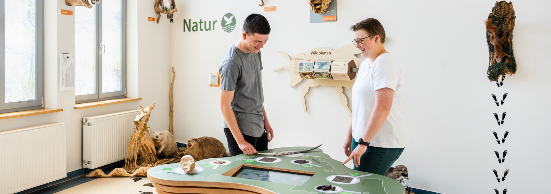 At the nature park center in Warin, the three friends learn about the animals that live around the Sternberg Lakes. Even the white-tailed eagle is increasingly reclaiming its territory here!, © TMV/Gross