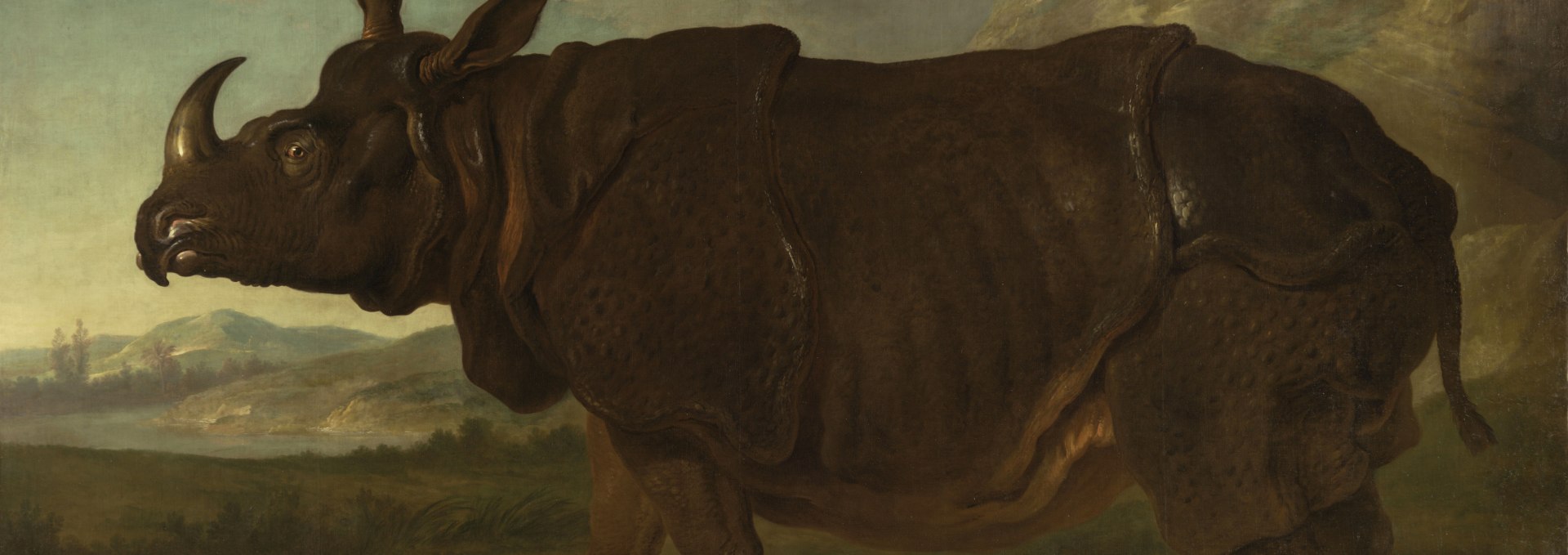 Jean Baptiste Oudry's Rhinoceros, © Foto: G. Bröcker, Staatliches Museum Schwerin