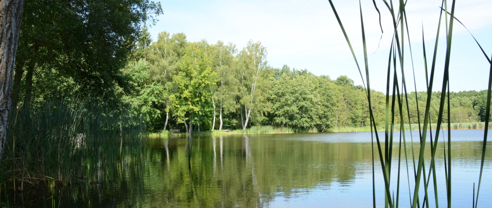 Carp ponds near Voigtsdorf, © Tourismusverband Mecklenburg-Schwerin