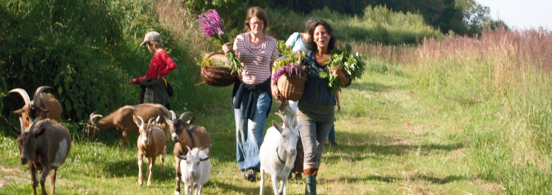 Herb walk with goats, © Kräuterhof Carlsthal