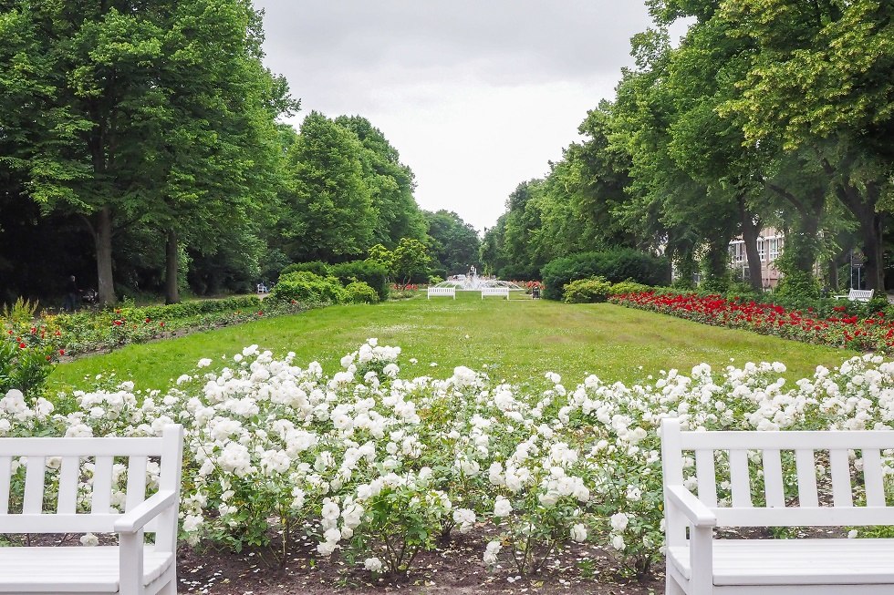 Rose garden with benches in foreground, © Frank Burger