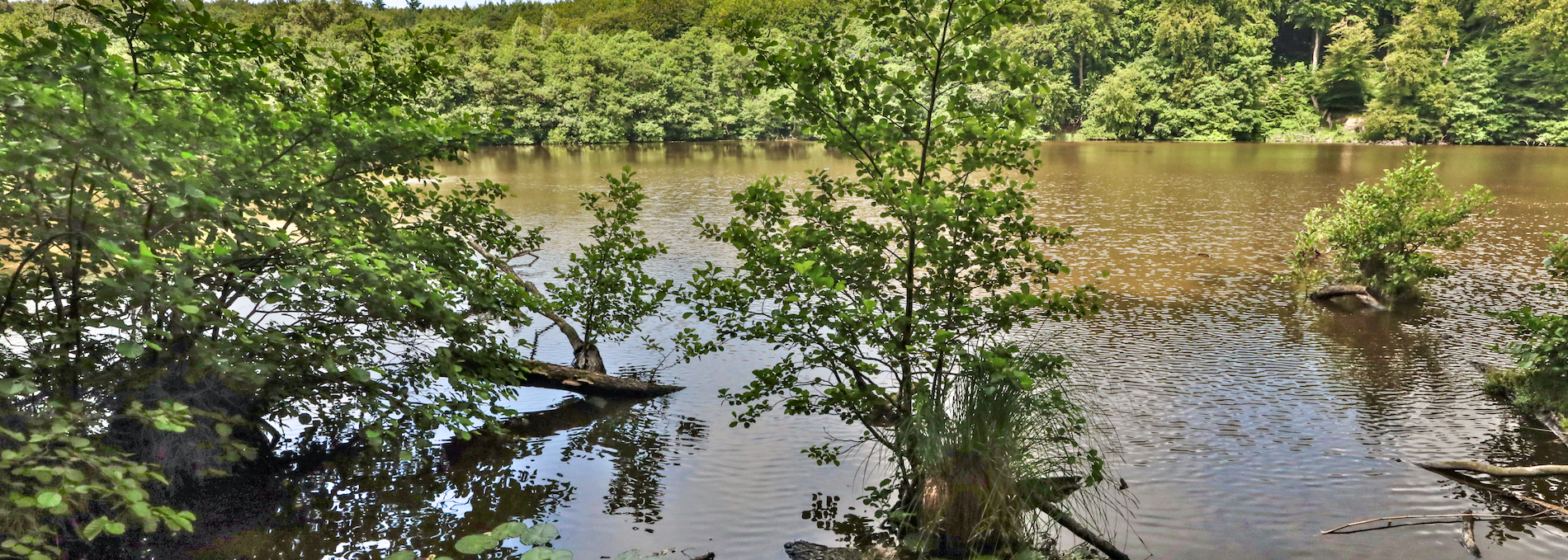 hertha lake_2, © TMV/Gohlke