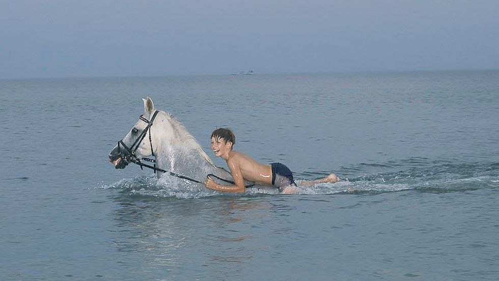 To swim with the horse in the cool water is the dream of many riders - here it comes true!, © Reitstall Stuthof