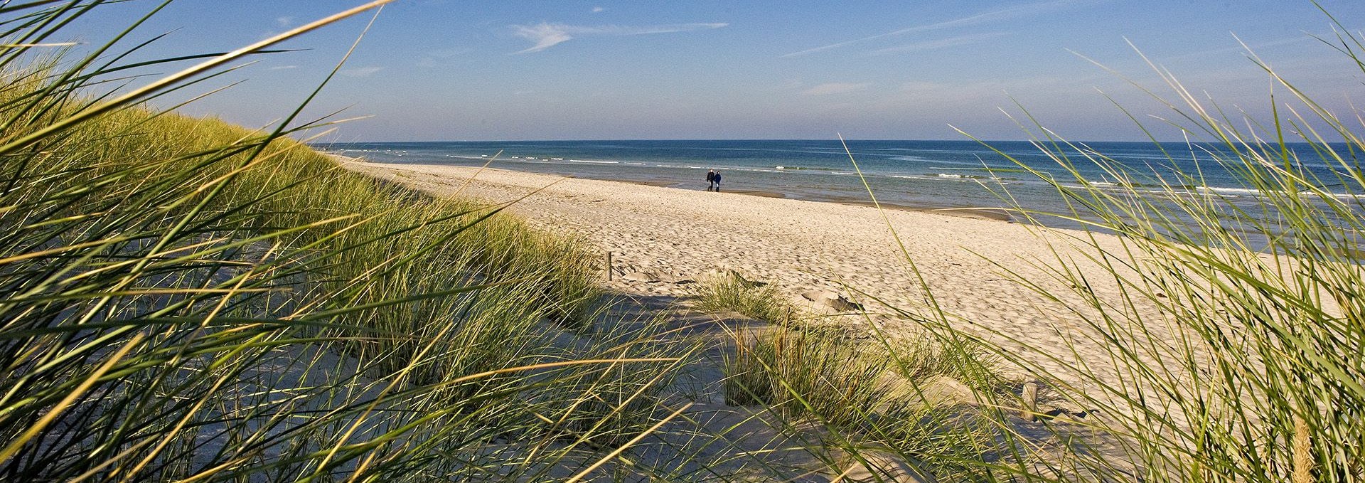 View of Prerow beach, © ginkgomare