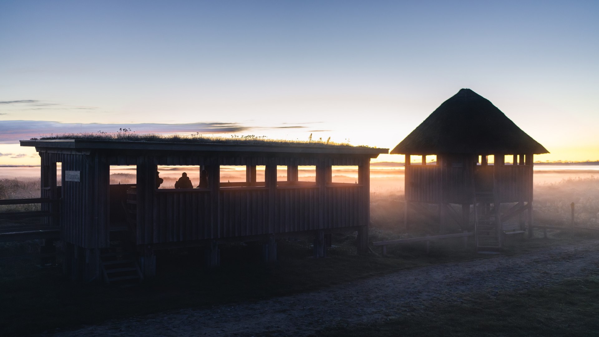 Pramort viewing platform near Zingst in the Vorpommersche Boddenlandschaft National Park at dawn.