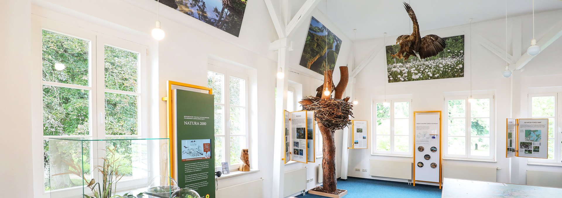 Naturparkausstellung zum Naturpark Feldberger Seenlandschaft im Haus des Gastes_3, © TMV/Gohlke