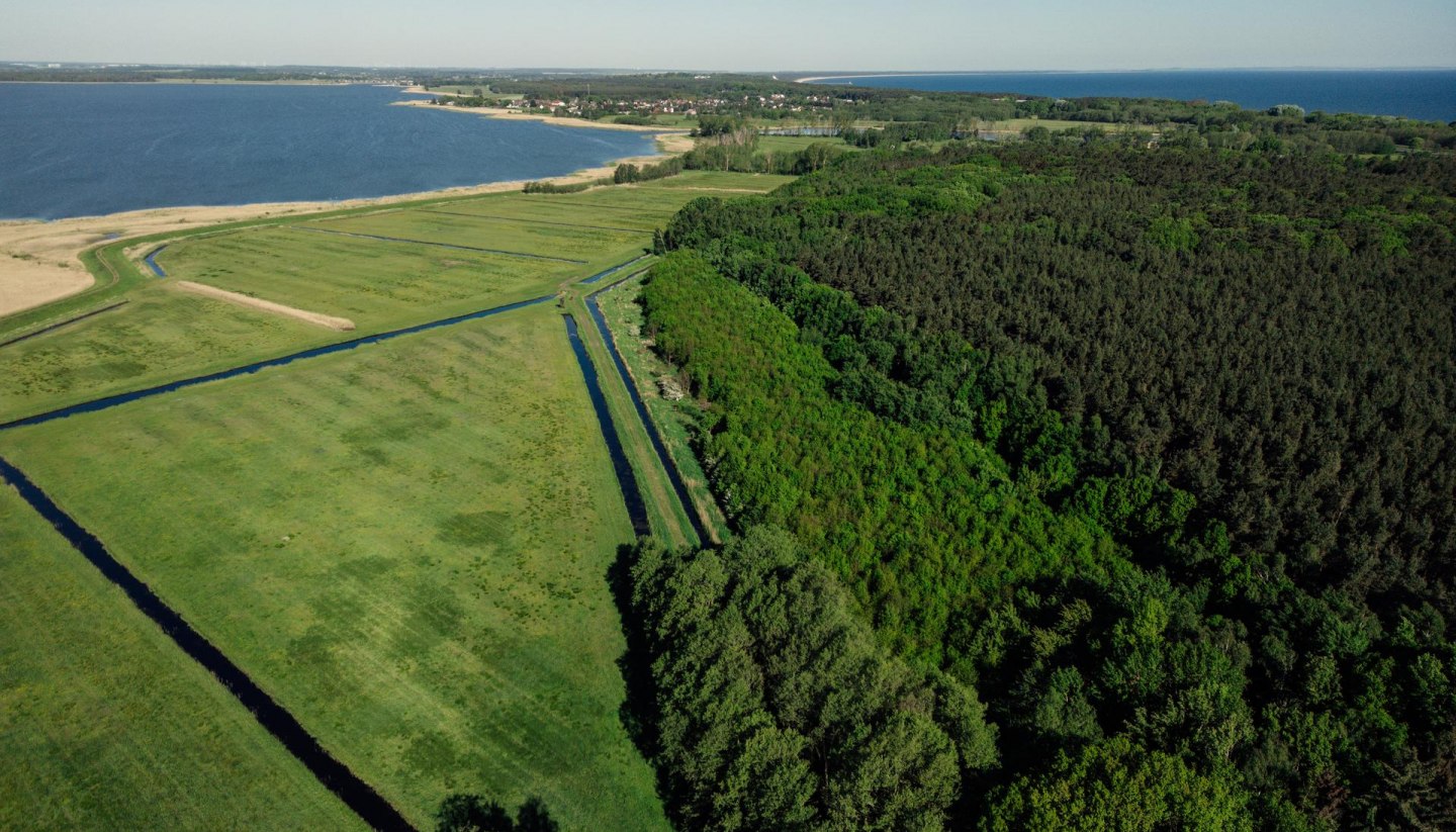 Climate forest on the island of Usedom near Damerow, © TMV/Petermann